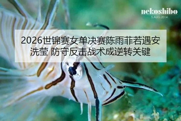2026世锦赛女单决赛陈雨菲若遇安洗莹 防守反击战术成逆转关键