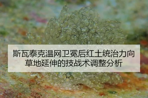 斯瓦泰克温网卫冕后红土统治力向草地延伸的技战术调整分析