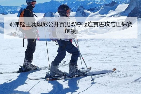 梁伟铿王昶印尼公开赛男双夺冠连贯进攻与世锦赛前景